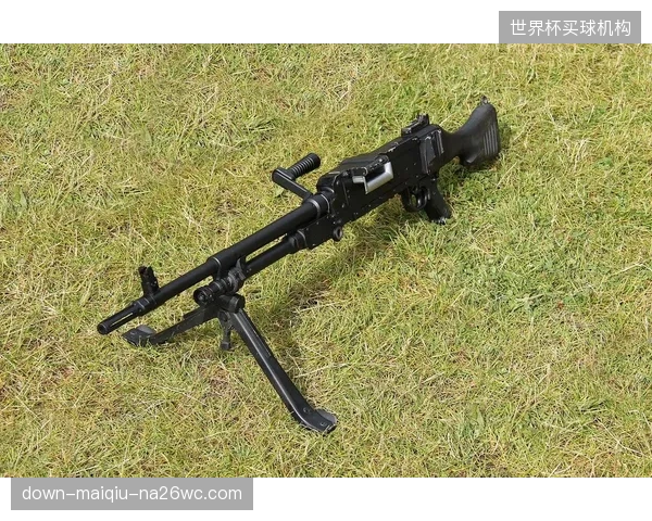 火力输出有保障但客场虫属性存忧，捷克队在中立场的表现将是小组出线的关键变数。